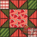 Watermelon sunshine quilt